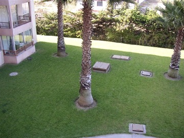 Imagen 8