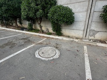 Imagen 15