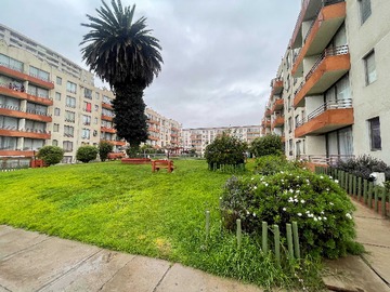 Imagen 19
