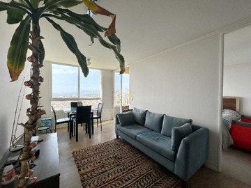 Arriendo Mensual / Departamento / Coquimbo