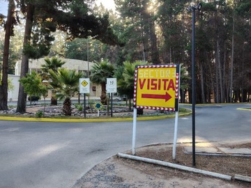 Imagen 10