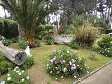 Imagen 15