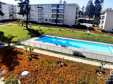 Imagen 19
