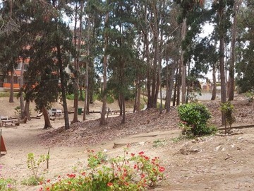 Imagen 20