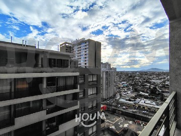 Imagen 5