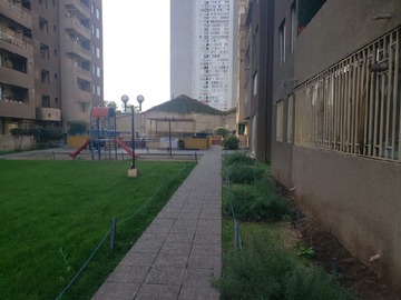 Imagen 19
