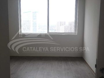 Imagen 15