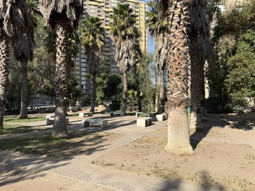 Imagen 28