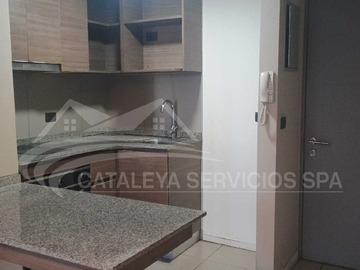 Imagen 15