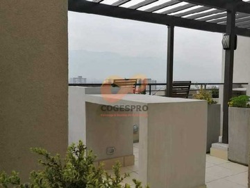 Imagen 13