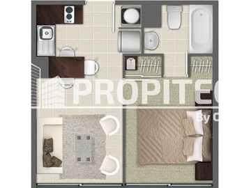 Imagen 5