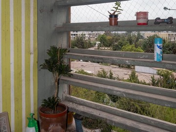 Imagen 4