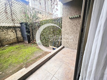 Imagen 5