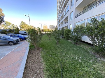 Imagen 15
