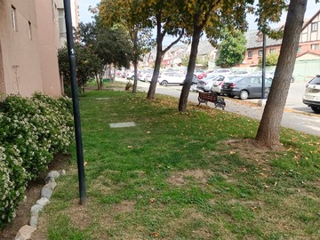Imagen 5