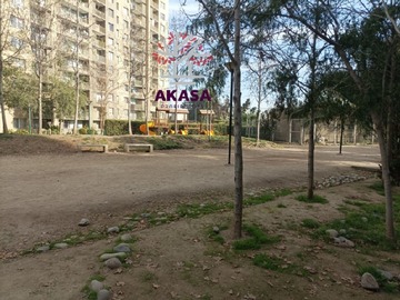 Imagen 19
