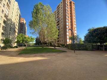 Imagen 19