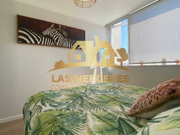 Imagen 16