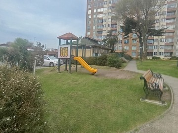 Imagen 19