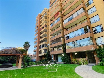 Imagen 14