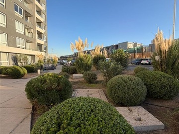 Arriendo Mensual / Departamento / Huechuraba
