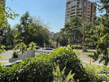 Imagen 11