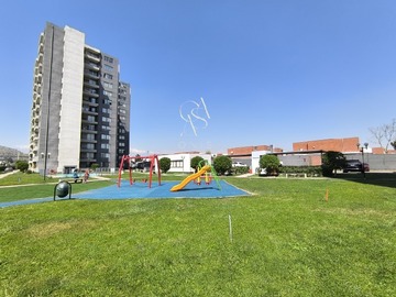 Imagen 12