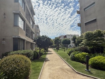 Imagen 25