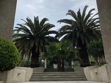 Imagen 11