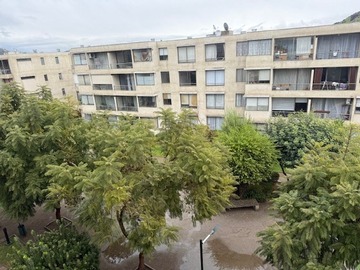 Imagen 20