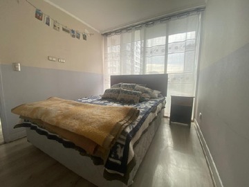Imagen 11