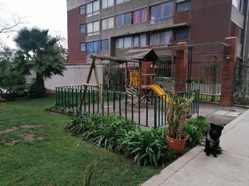Imagen 19