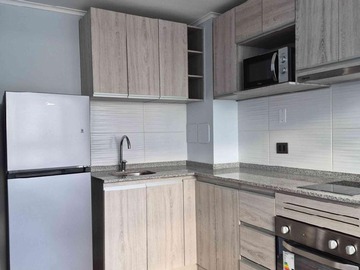Arriendo Mensual / Departamento / Independencia