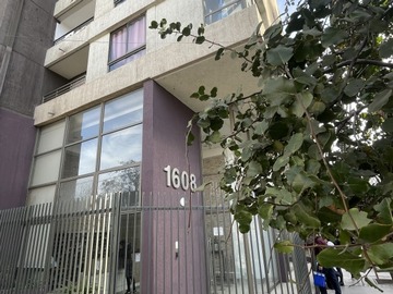 Imagen 13