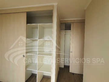 Imagen 11