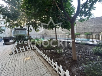 Imagen 12