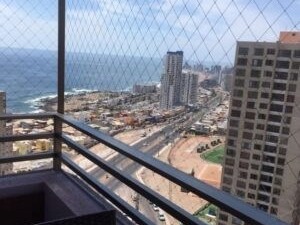 Imagen 6
