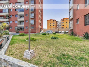 Imagen 19