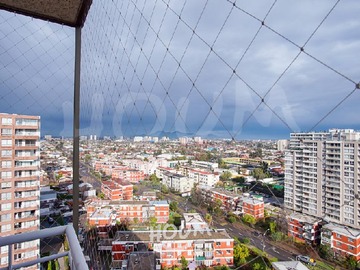 Imagen 5