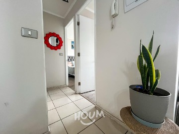 Imagen 13