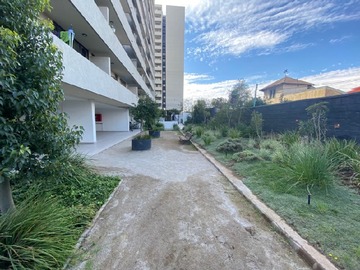 Imagen 11