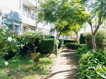 Imagen 12