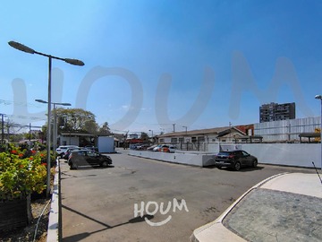 Imagen 15