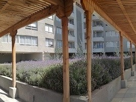 Imagen 8