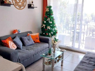 Imagen 13