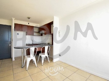 Arriendo Mensual / Departamento / La Cisterna