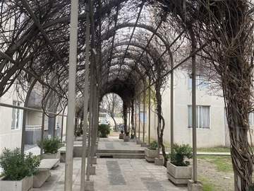 Imagen 11