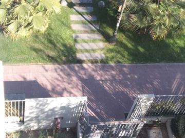 Imagen 5