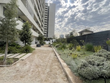 Imagen 6