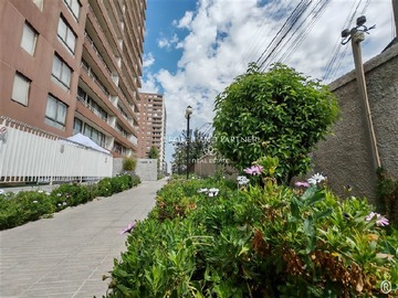 Imagen 12